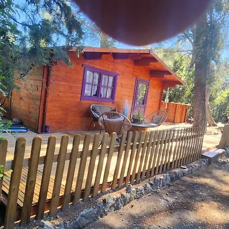 Ml83 3* ساناري سور مير